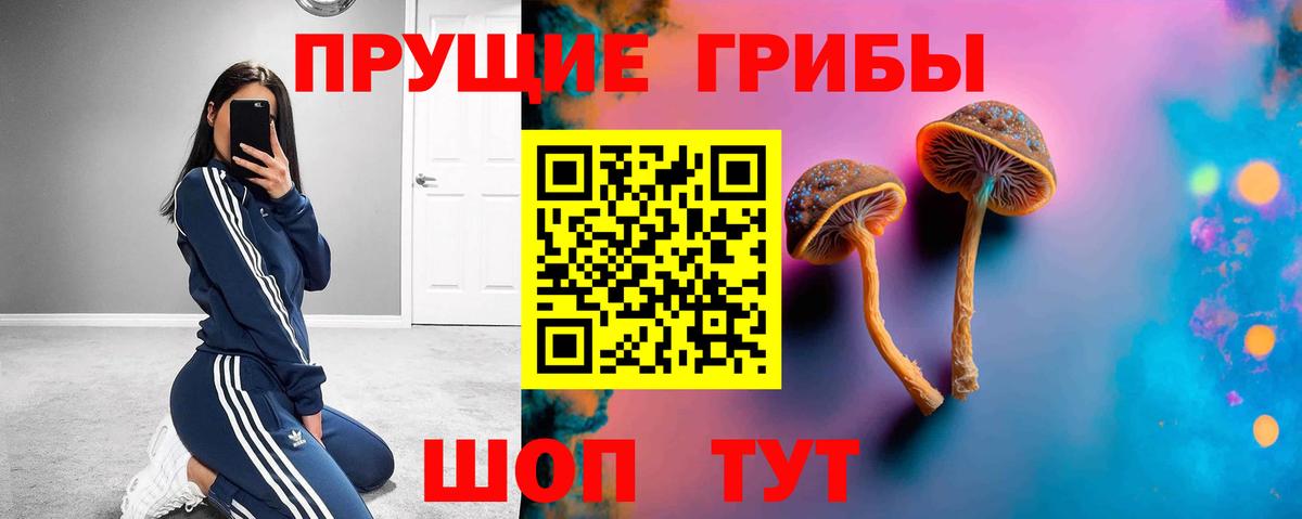 Псилоцибиновые грибы Psilocybe  Вход с VPN  Галлюциногенные грибы GOLDEN TEACHER  Южно-Сахалинск 