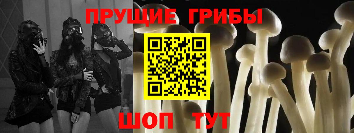 Галлюциногенные грибы мухоморы Южно-Сахалинск